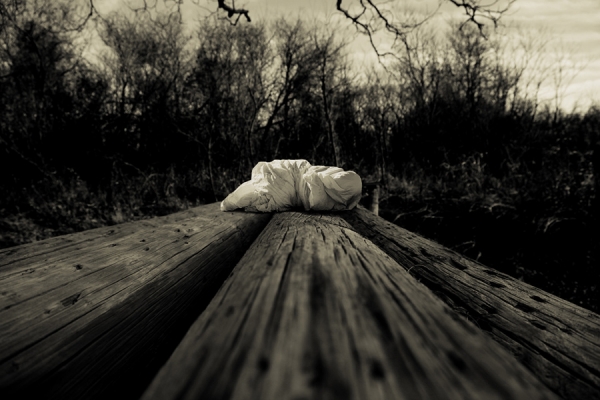 Photograph Angela Bacon Kidwell Untitled 21 on One Eyeland